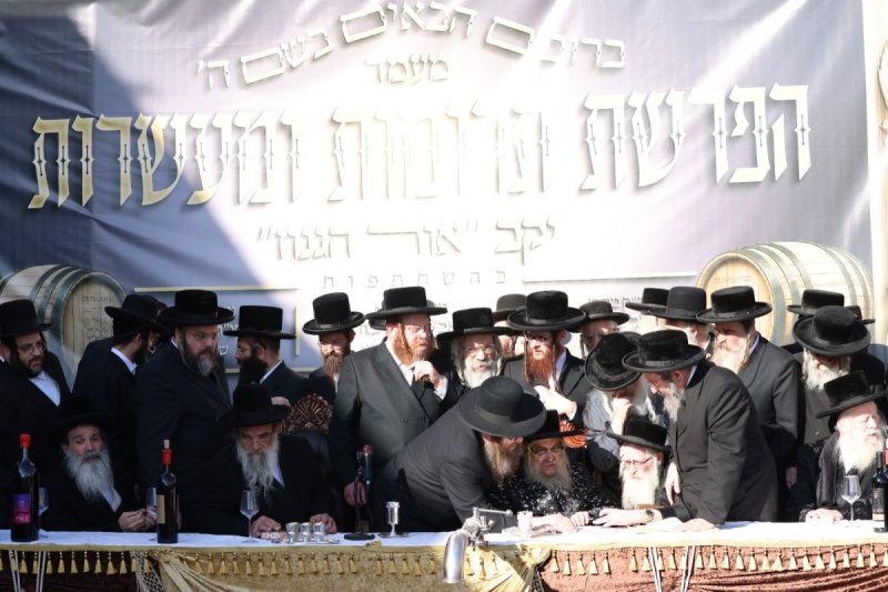 דוד כהן