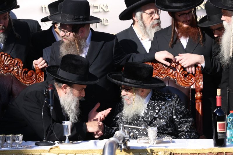 דוד כהן