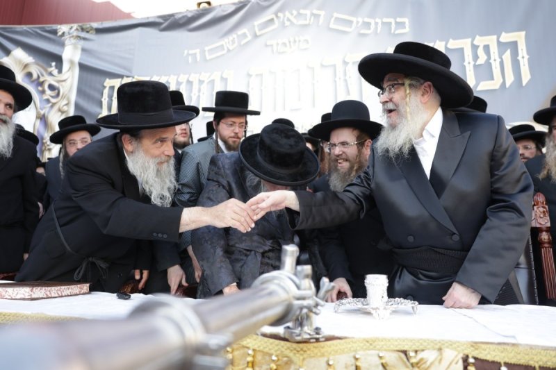 דוד כהן