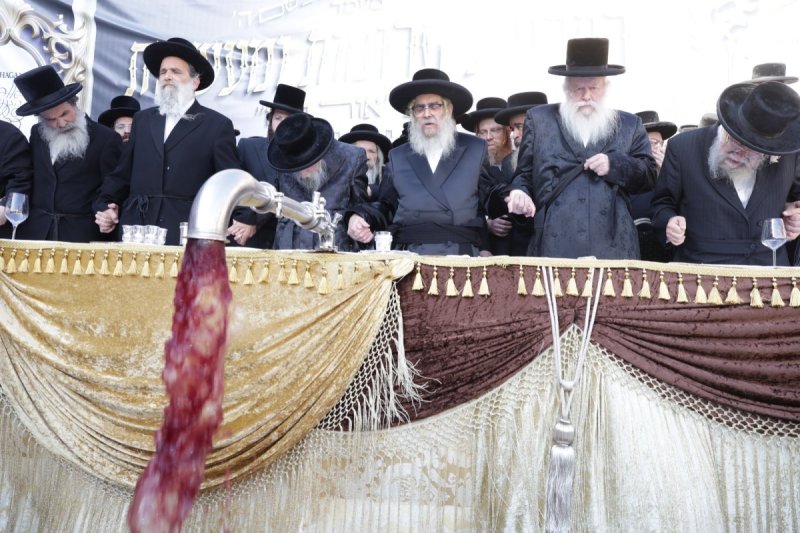 דוד כהן