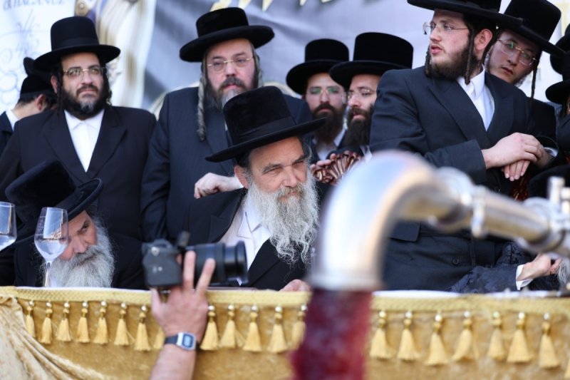 דוד כהן