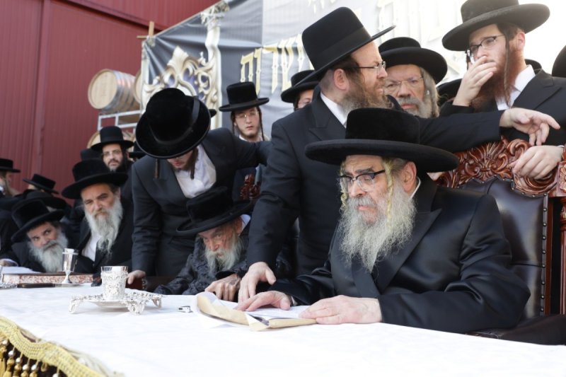 דוד כהן