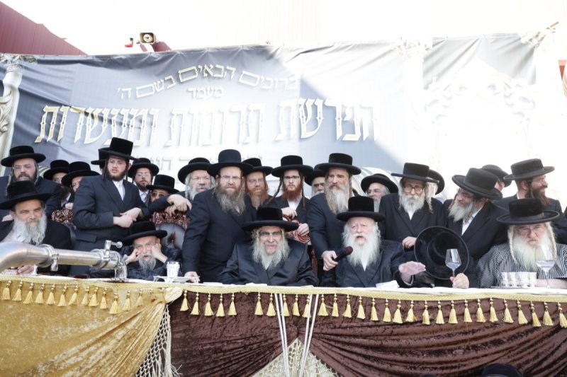 דוד כהן