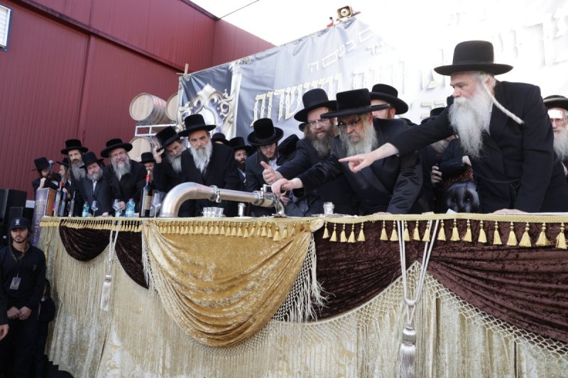 דוד כהן