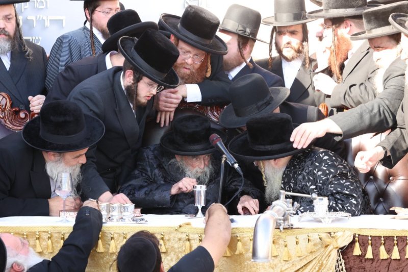 דוד כהן