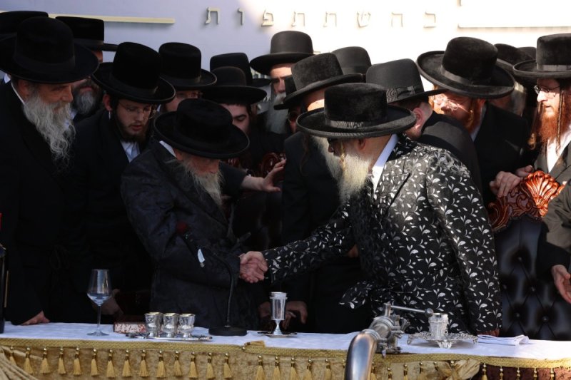 דוד כהן