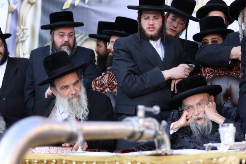 דוד כהן