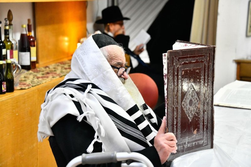 שוקי לרר