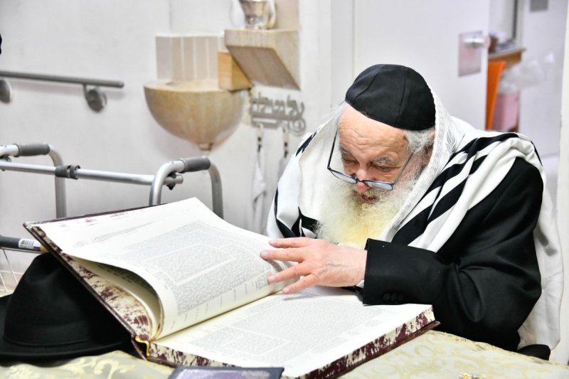 שוקי לרר