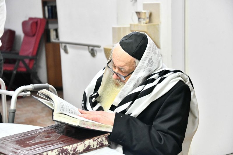 שוקי לרר