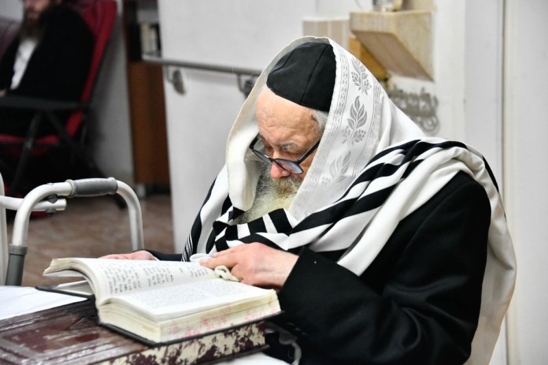 שוקי לרר