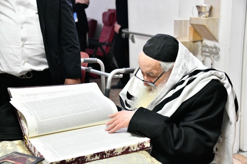 שוקי לרר