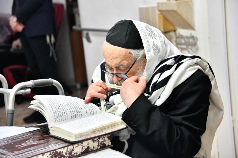 שוקי לרר