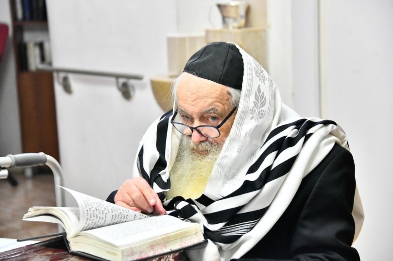 שוקי לרר