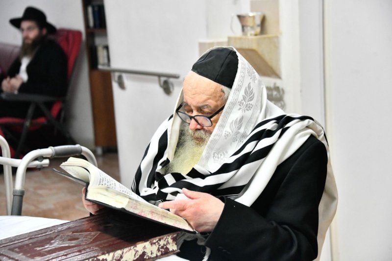 שוקי לרר