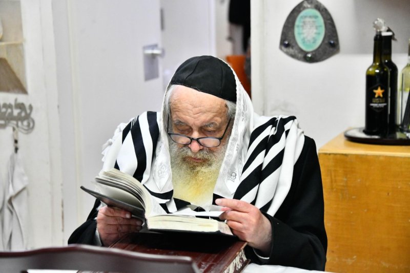 שוקי לרר