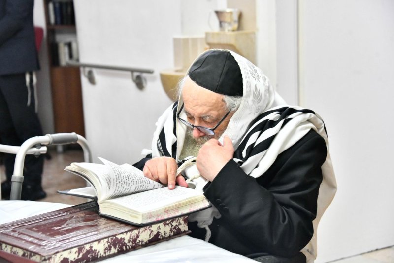 שוקי לרר