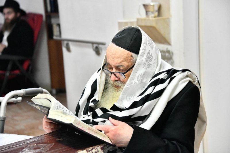 שוקי לרר