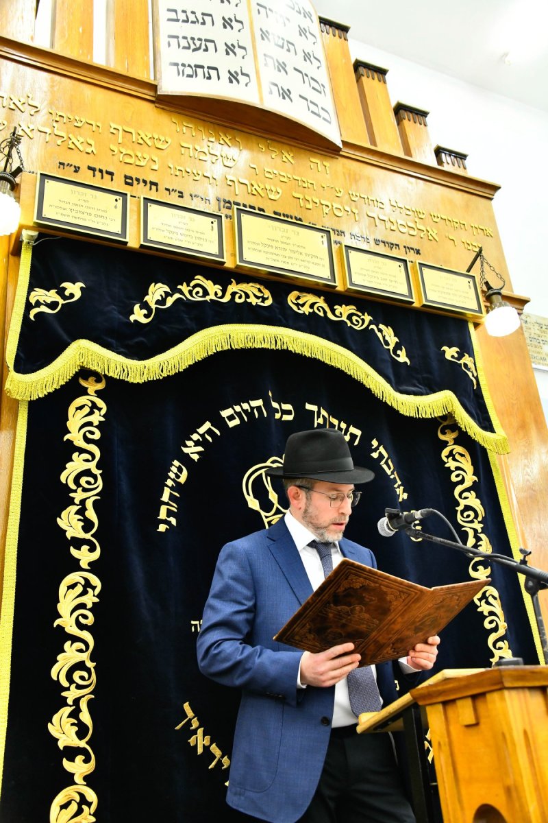 שוקי לרר