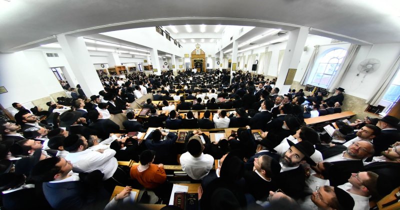שוקי לרר