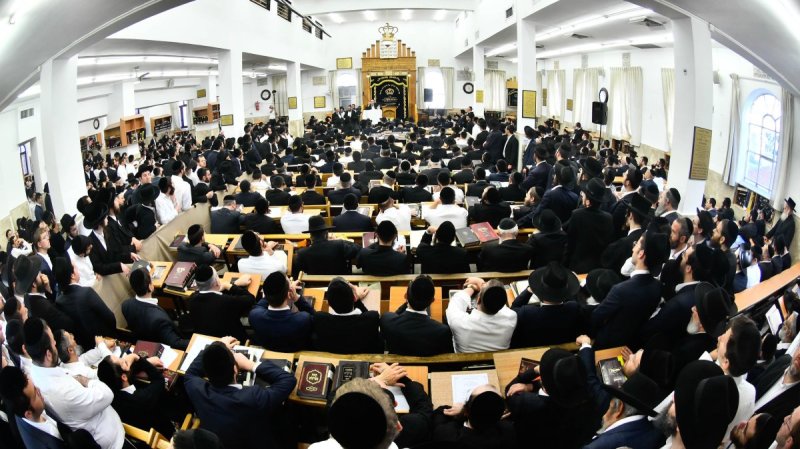 שוקי לרר