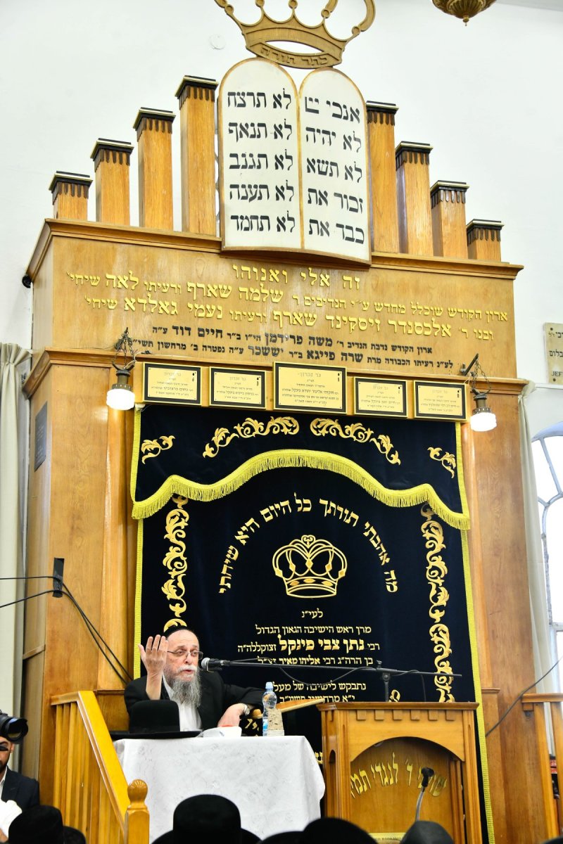 שוקי לרר