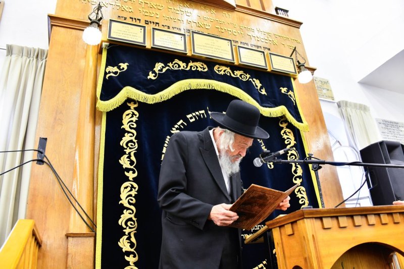 שוקי לרר