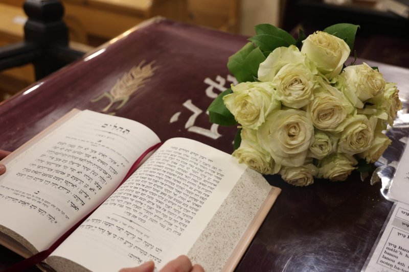 באדיבות המצלם
