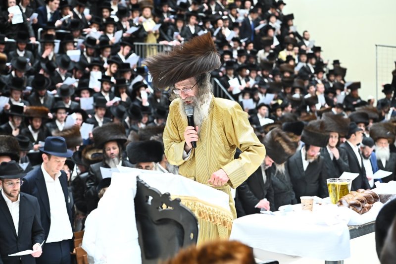 שוקי לרר