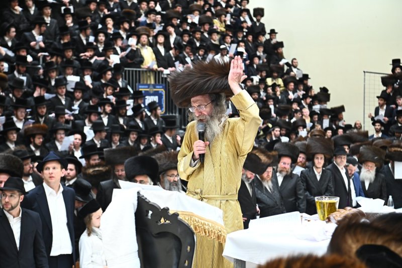 שוקי לרר