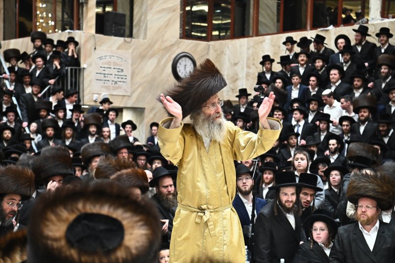 שוקי לרר