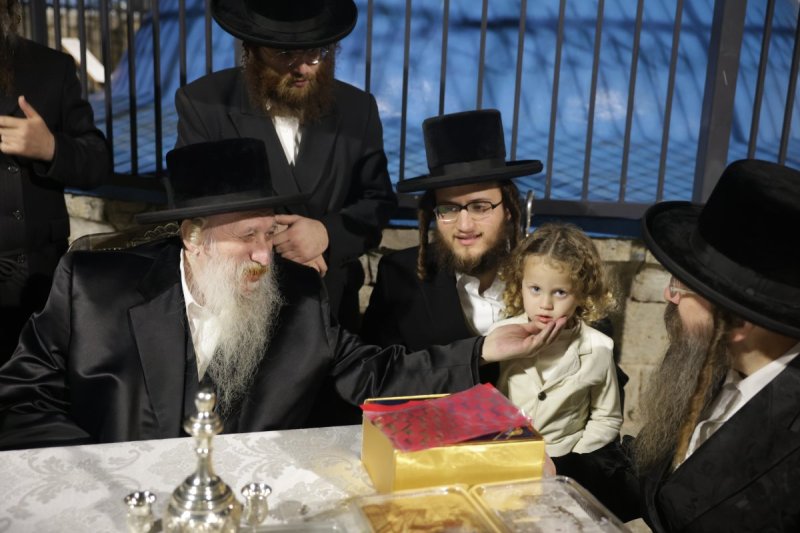 דוד כהן