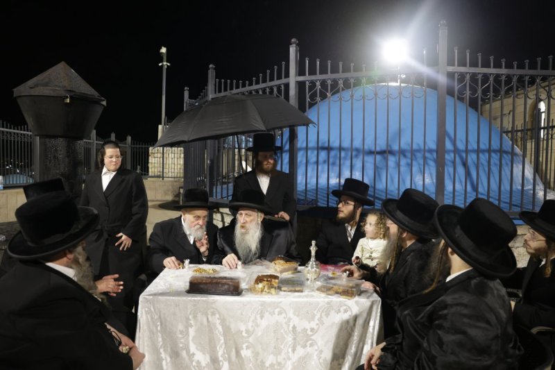 דוד כהן