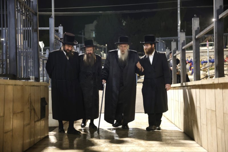 דוד כהן