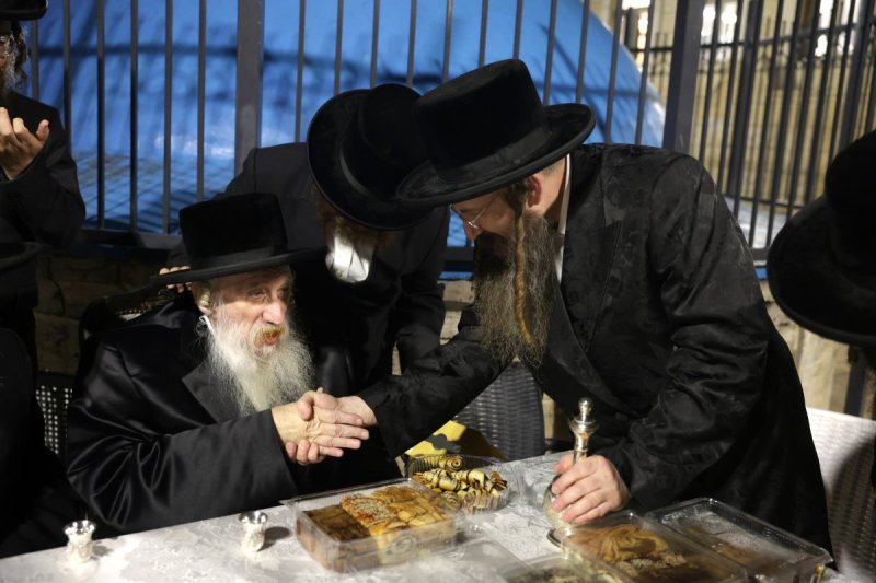 דוד כהן