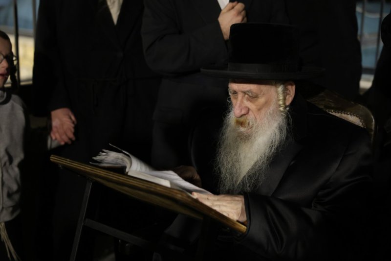 דוד כהן