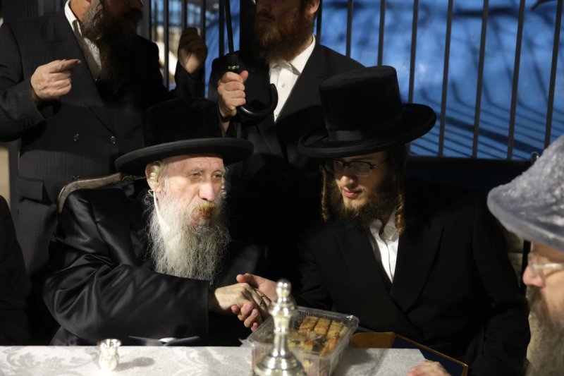 דוד כהן