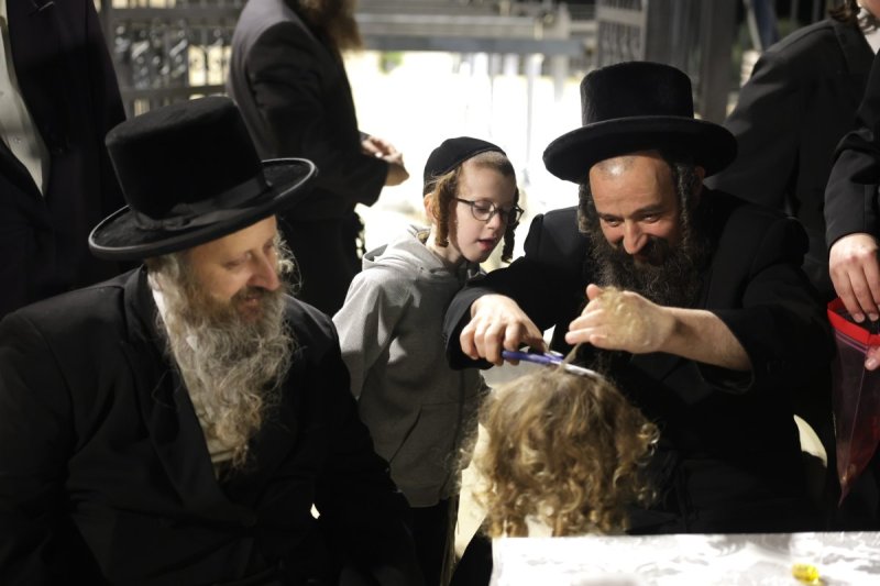 דוד כהן