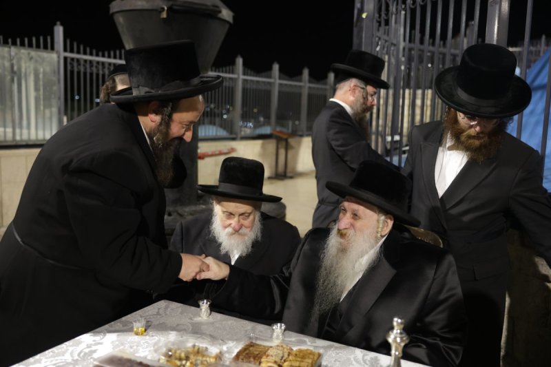 דוד כהן
