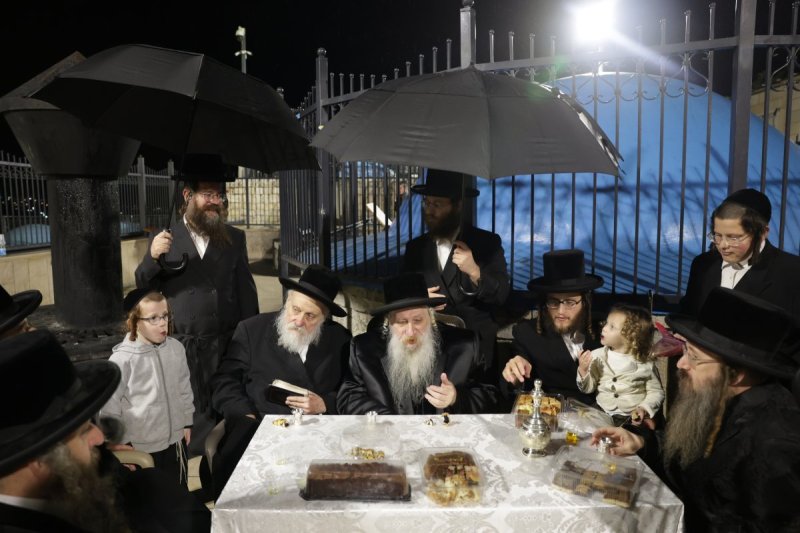 דוד כהן