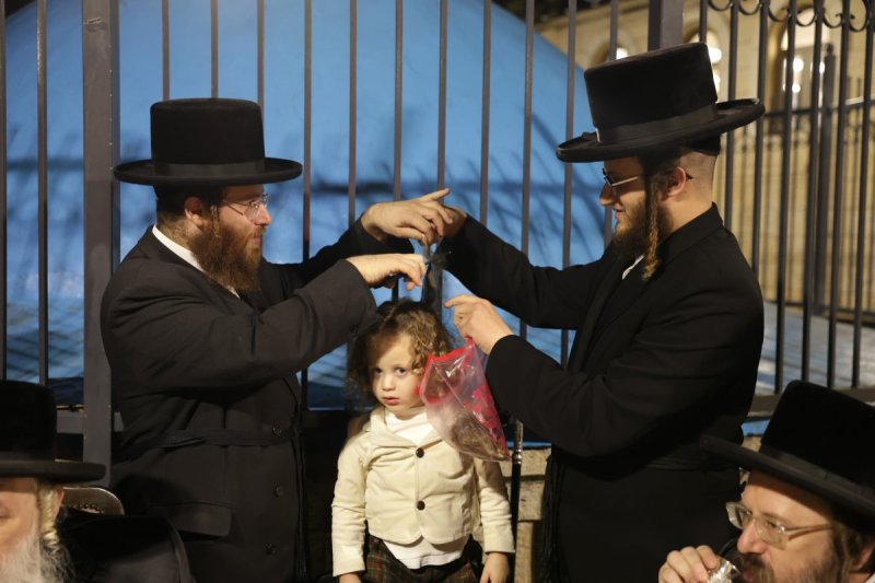 דוד כהן