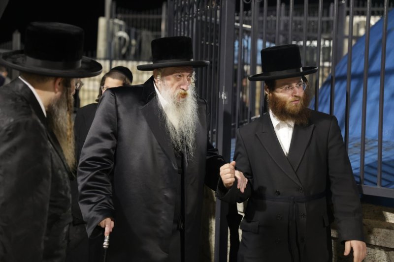 דוד כהן