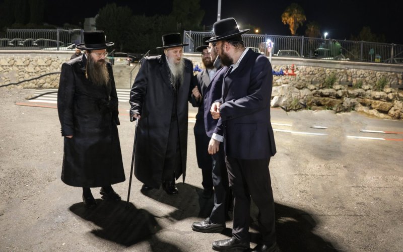 דוד כהן