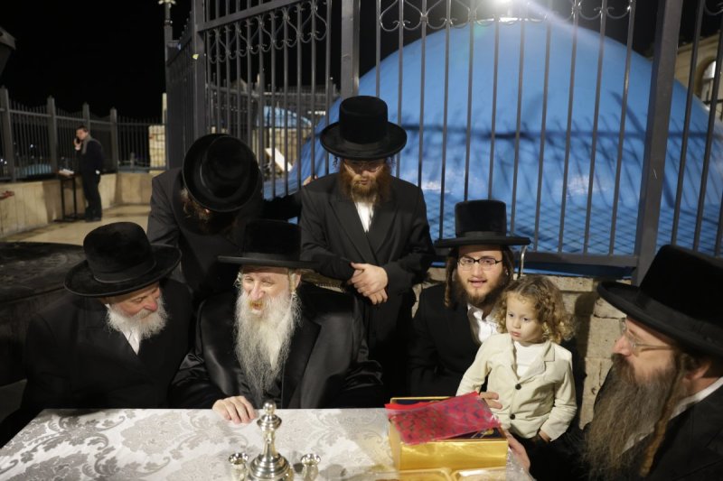 דוד כהן