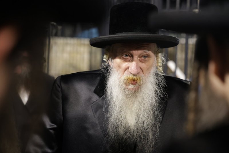 דוד כהן