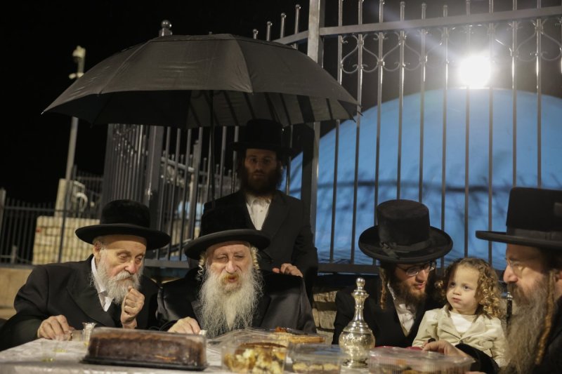 דוד כהן