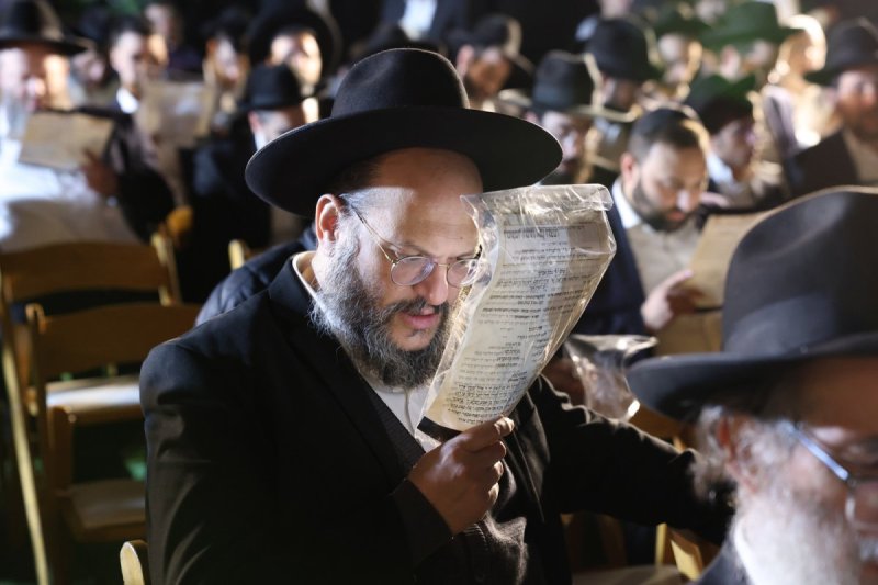 יעקב כהן