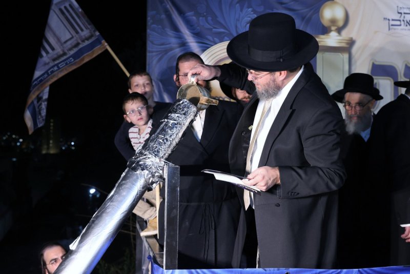 יעקב כהן