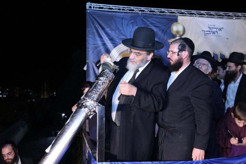 יעקב כהן