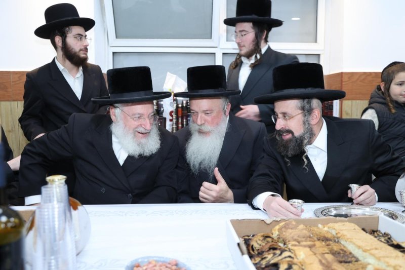 שלומי טריכטר
